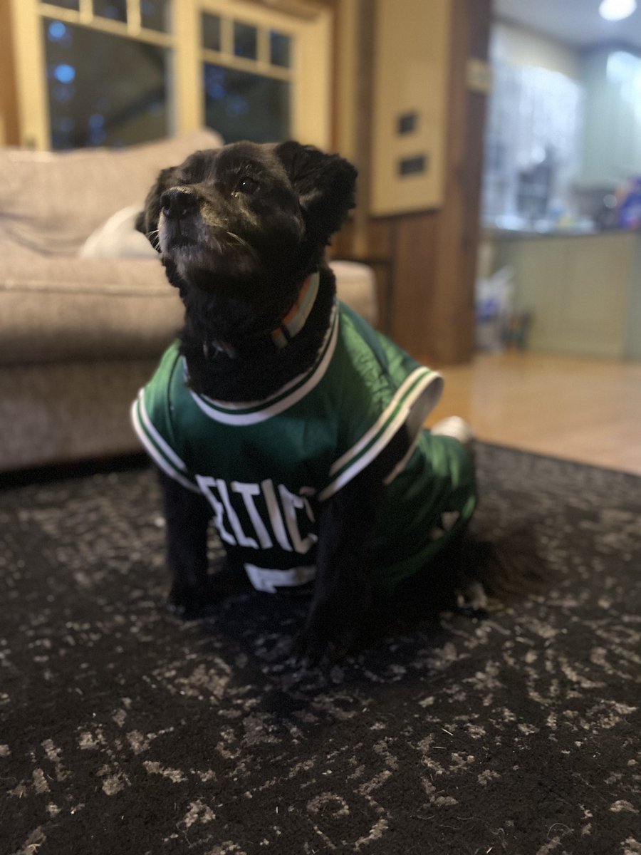 Abby is ready for a big second half. #celtics #chow #NBAFinals #celticschow