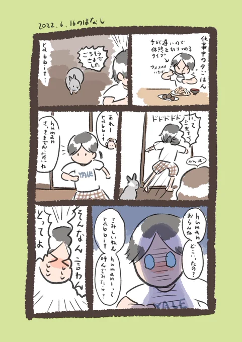 昨日のrabbit…
#うさぎのいる生活 