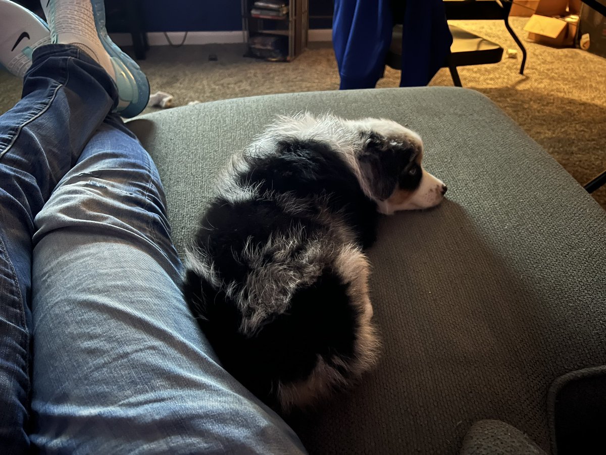 John Robertson tweet media