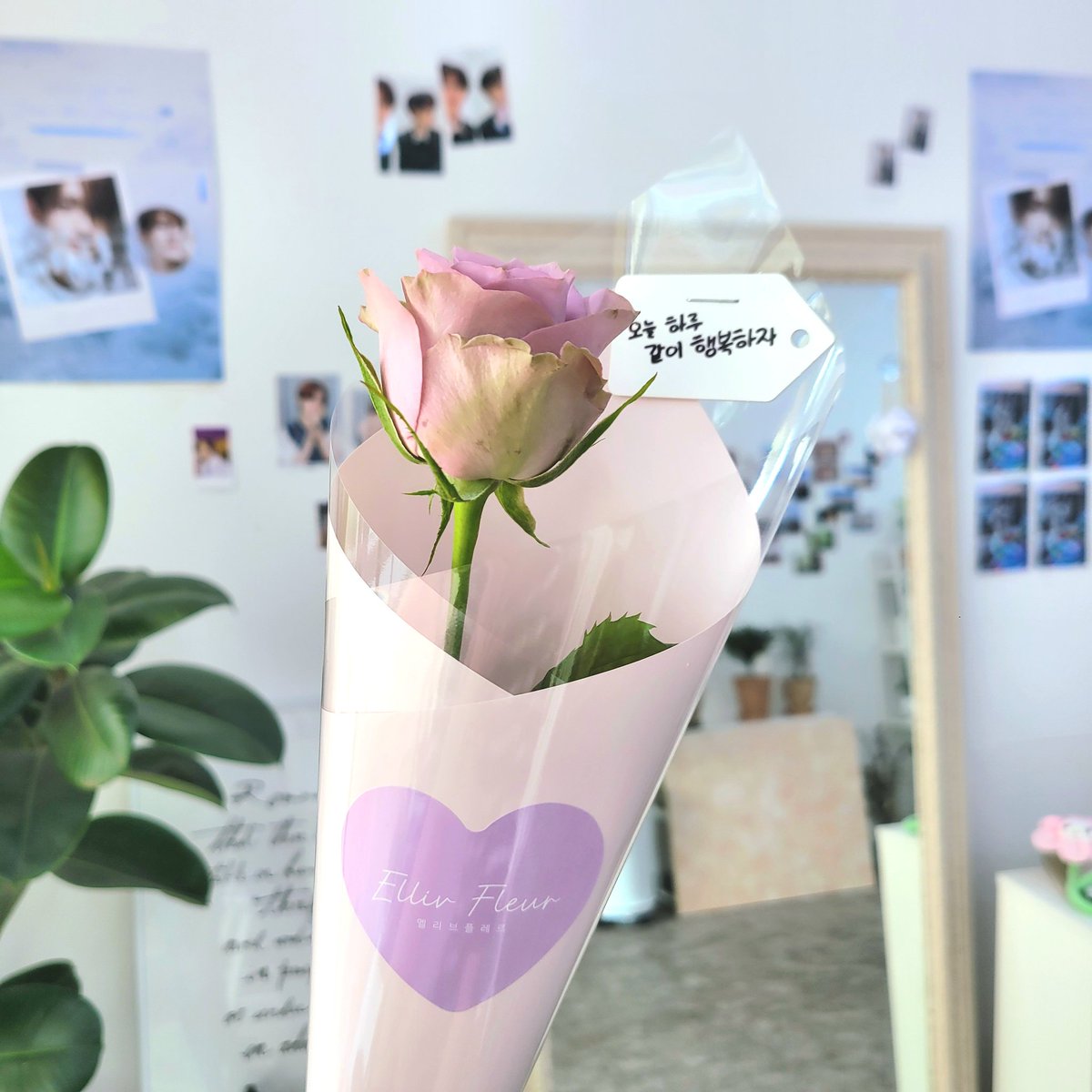 vrvroeoe's tweet photo. 용승 생일 이벤트 진행중 ⋆  .

꽃 한송이가 오늘의 행복한 기억 하나를 더해줄 수 있길 바랍니다 💜🤍

#용승이와행복한하루
#용승 #베리베리 #verivery https://t.co/pzWQng0l7K