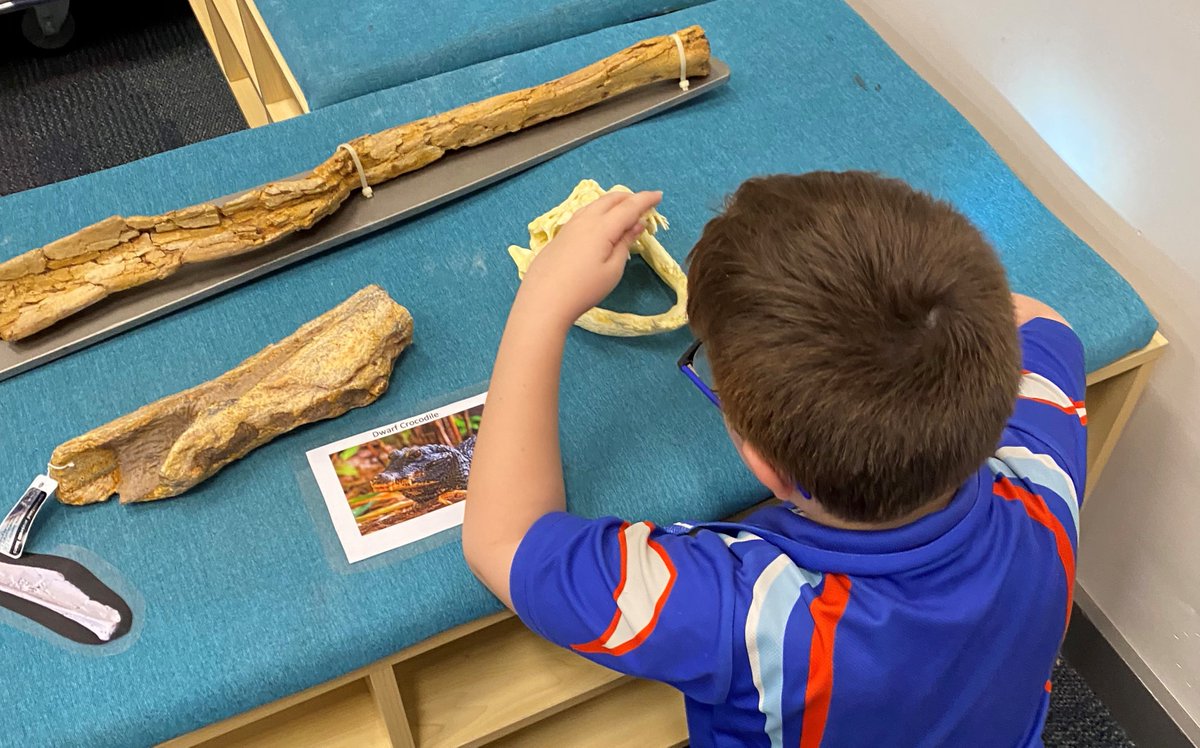 qldmuseum's tweet image. When the museum comes to you 🦕🔬🦴 I DIG Discovery gave Townville students something to really sink their teeth into with a dino-mite science inquiry incursion. Learn more 👉 bit.ly/3OlutF9
Supported by @bhp #ProjectDIGQM