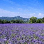 Daigasグループ通信のツイート画像
