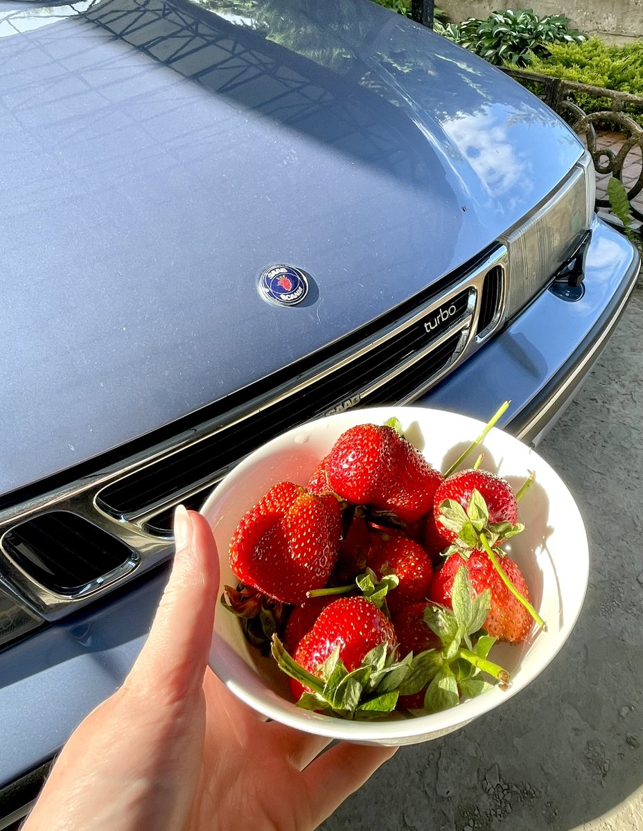 saab93saab's tweet photo. 🍓🍓🍓 https://t.co/hTlAas0kpI