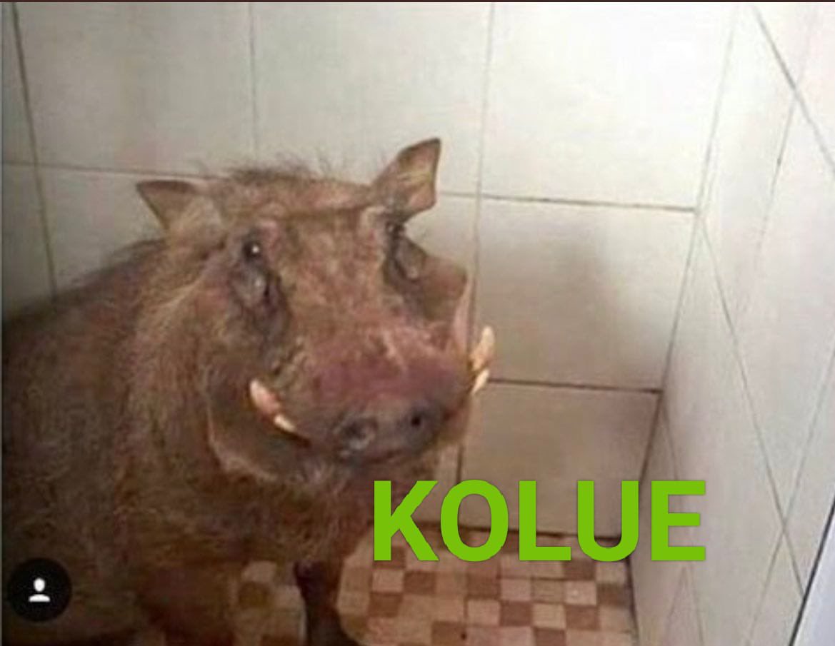 cristiaan26_'s tweet photo. kolue undanbe https://t.co/JPhkFtGYnG