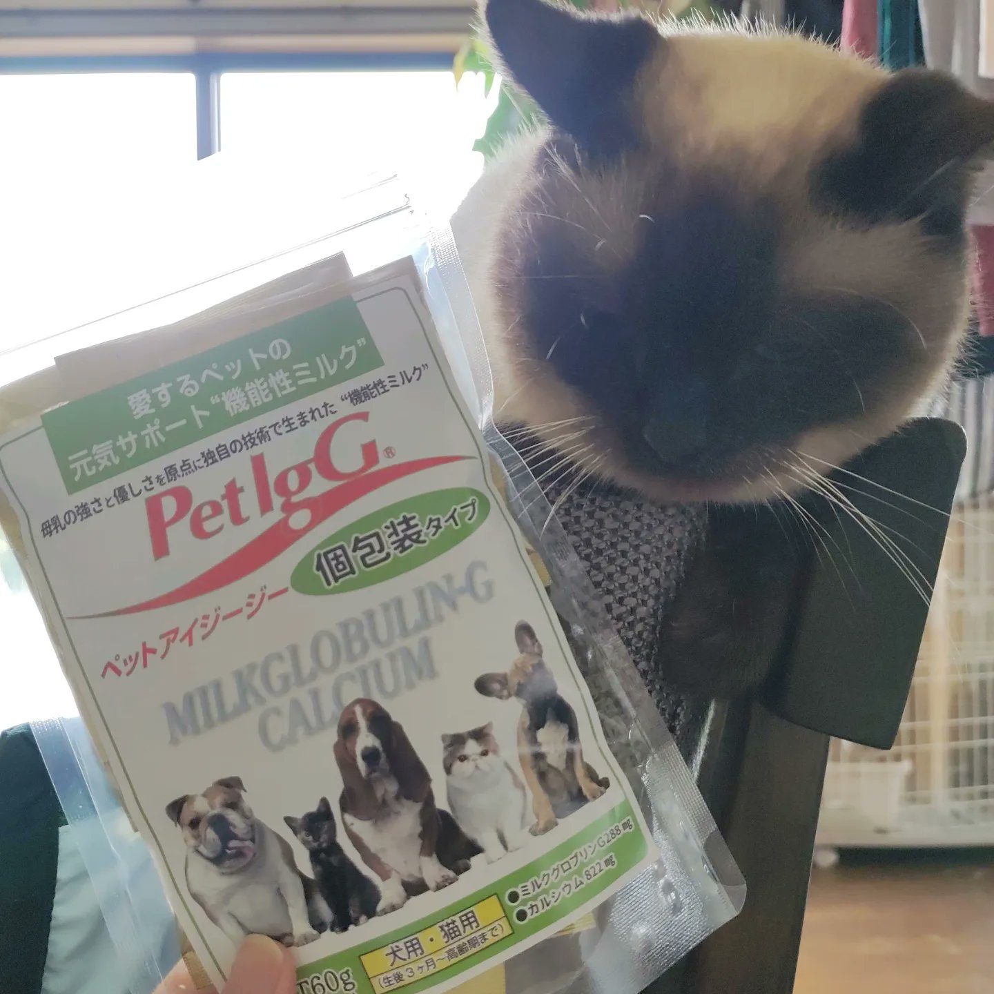 動物病院専用 Twitter Search Twitter