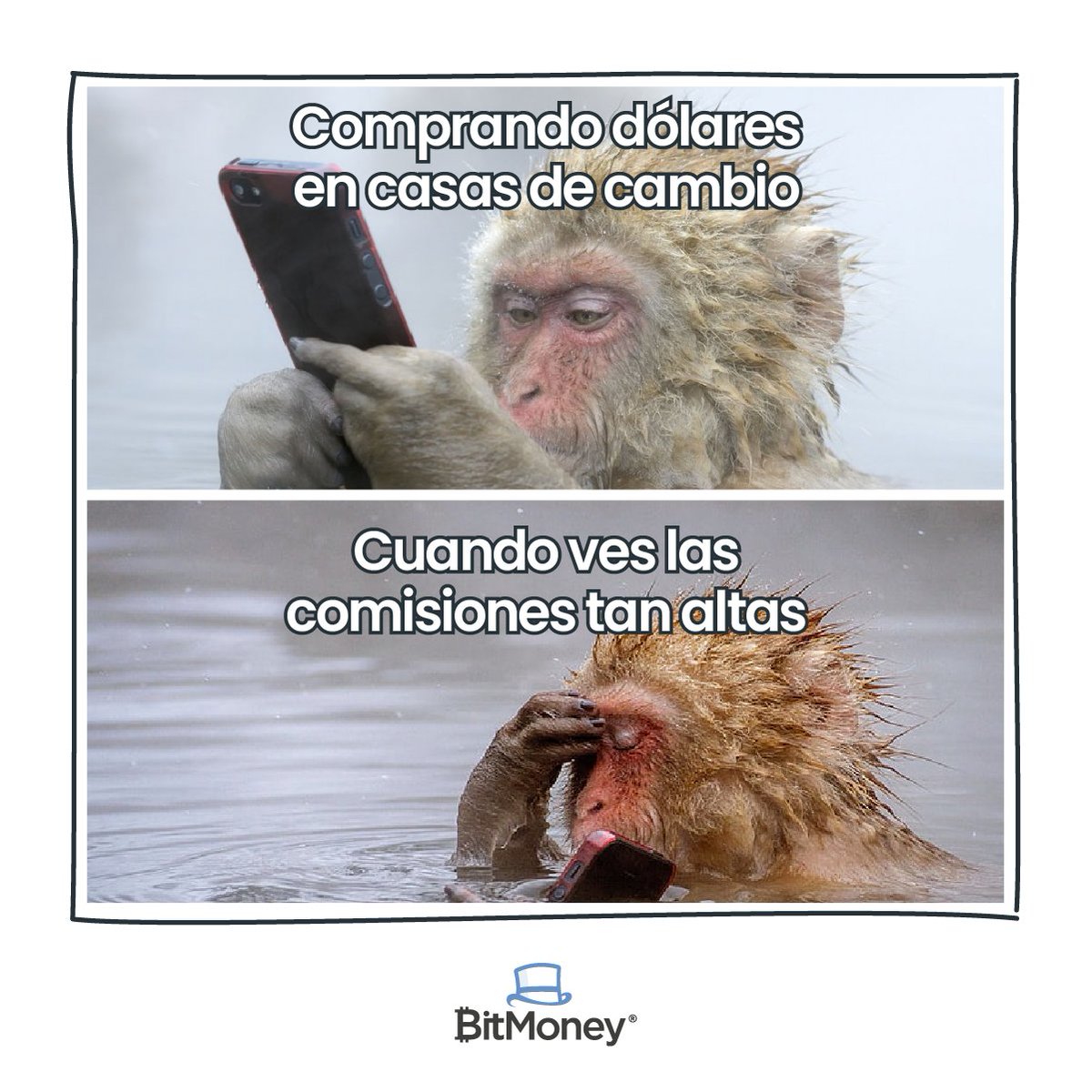 BitmoneyCo's tweet photo. BitMoney ajustó sus tasas de comisión para ser la más baja del mercado, no esperes más y comprar tus Tether USDT con BitMoney ahora!

#Tether #USDT #Bitcoin #criptomonedas #blockchain #crypto #inversiones #dinero #stablecoins https://t.co/abBVRQ1Yya