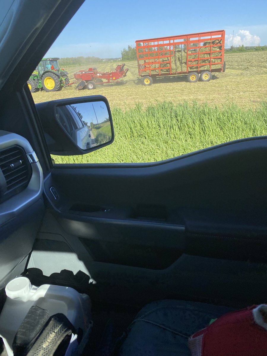 Archie Wilson tweet media