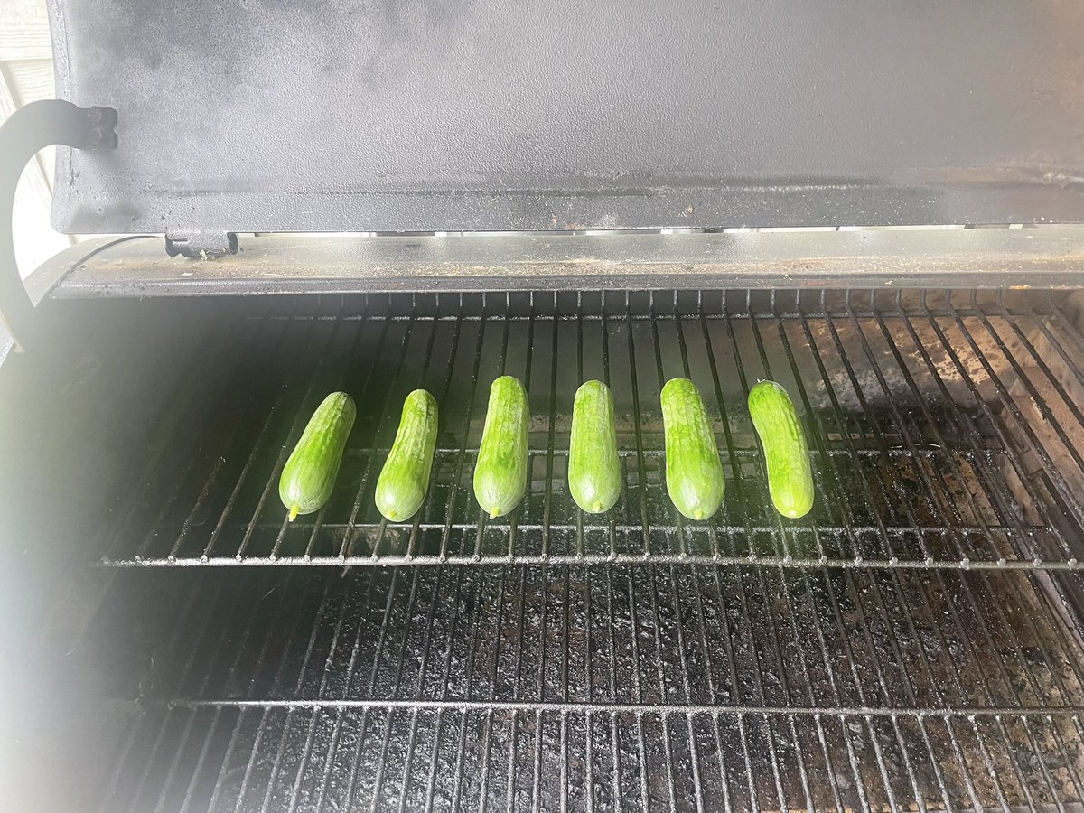 Trying my hand at smoked pickles