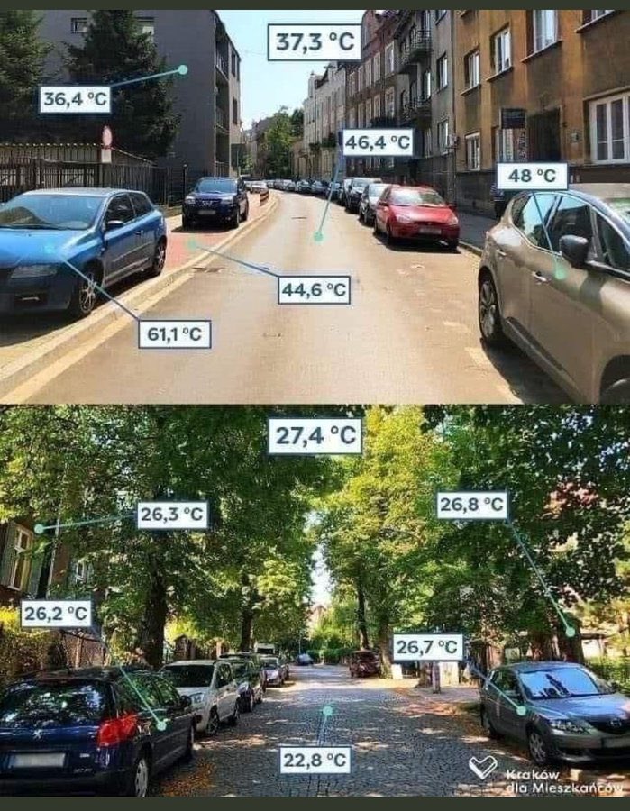 trees are never not good