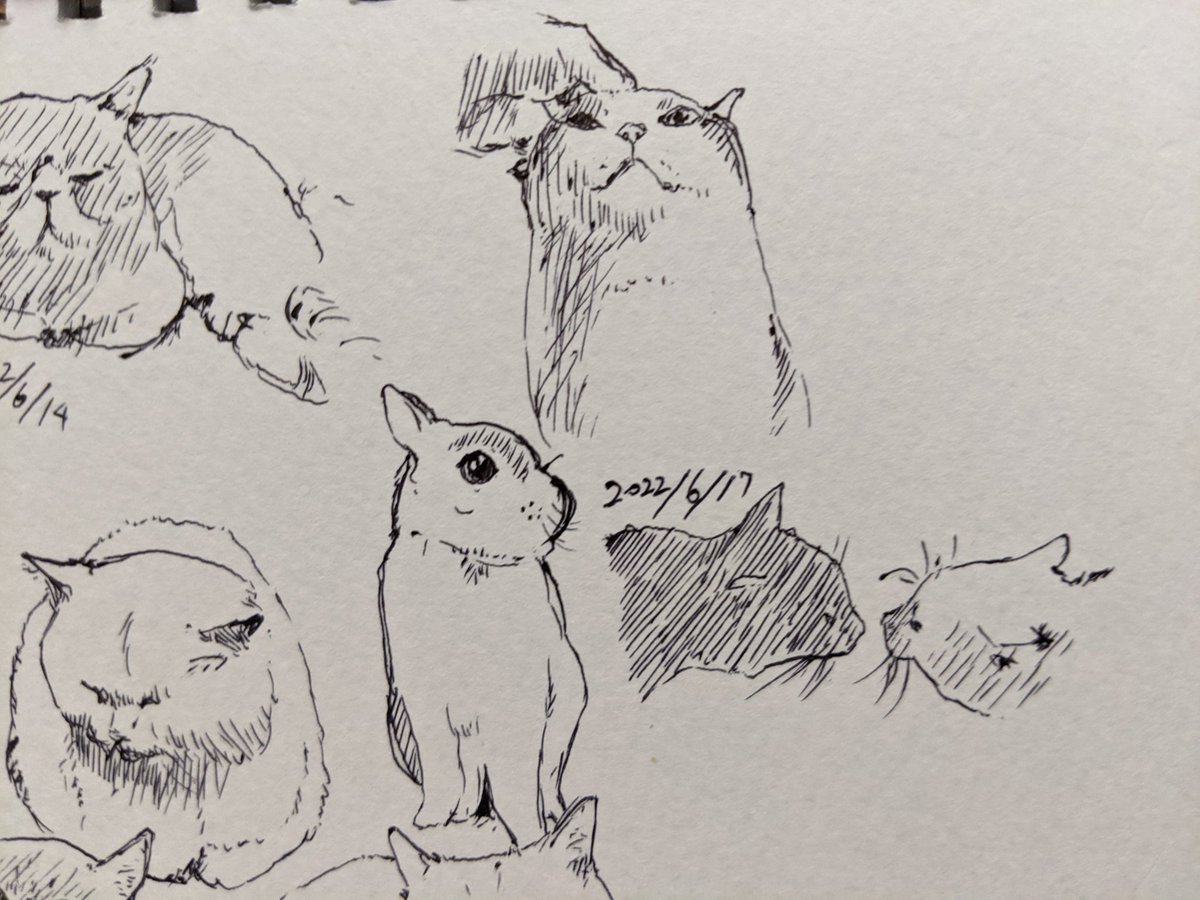 頭痛い〜お薬飲みましょね〜 カキカキ。 