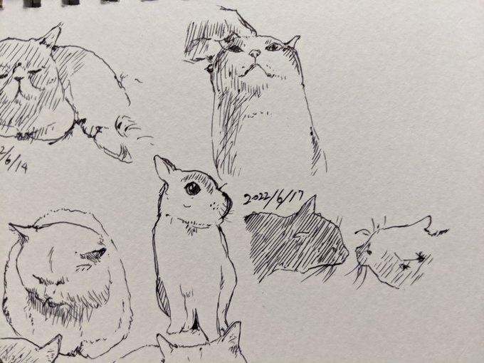 頭痛い〜お薬飲みましょね〜 カキカキ。 