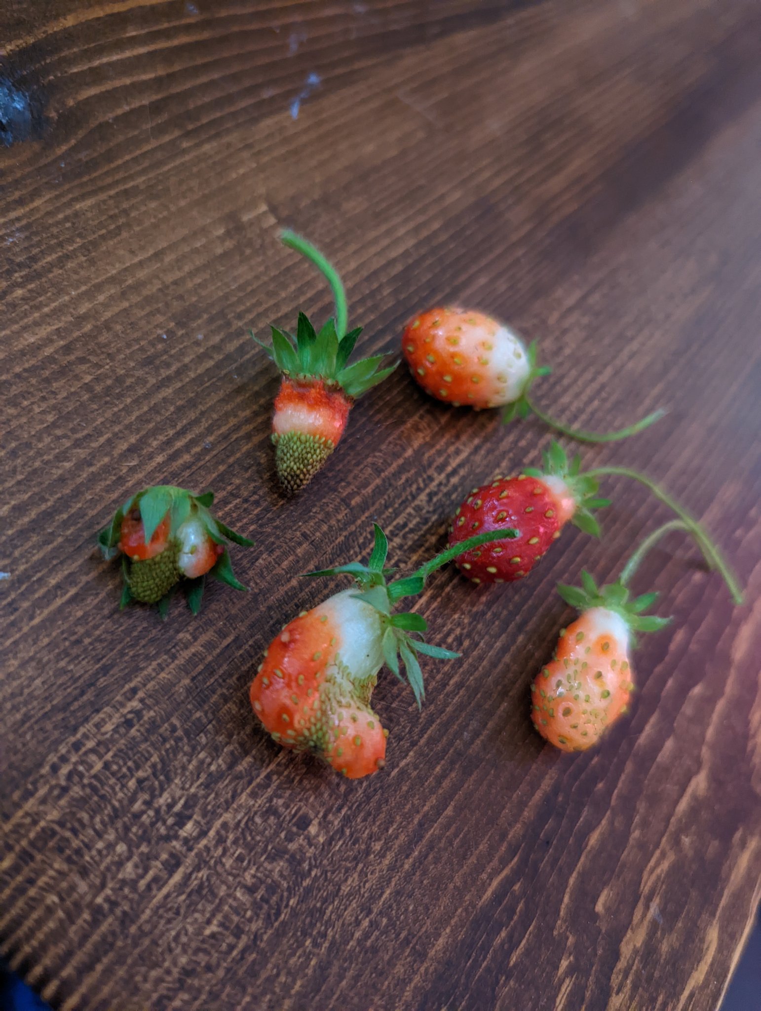 The Real Strawberry Shan Onlyfans Experience - 625bu6z