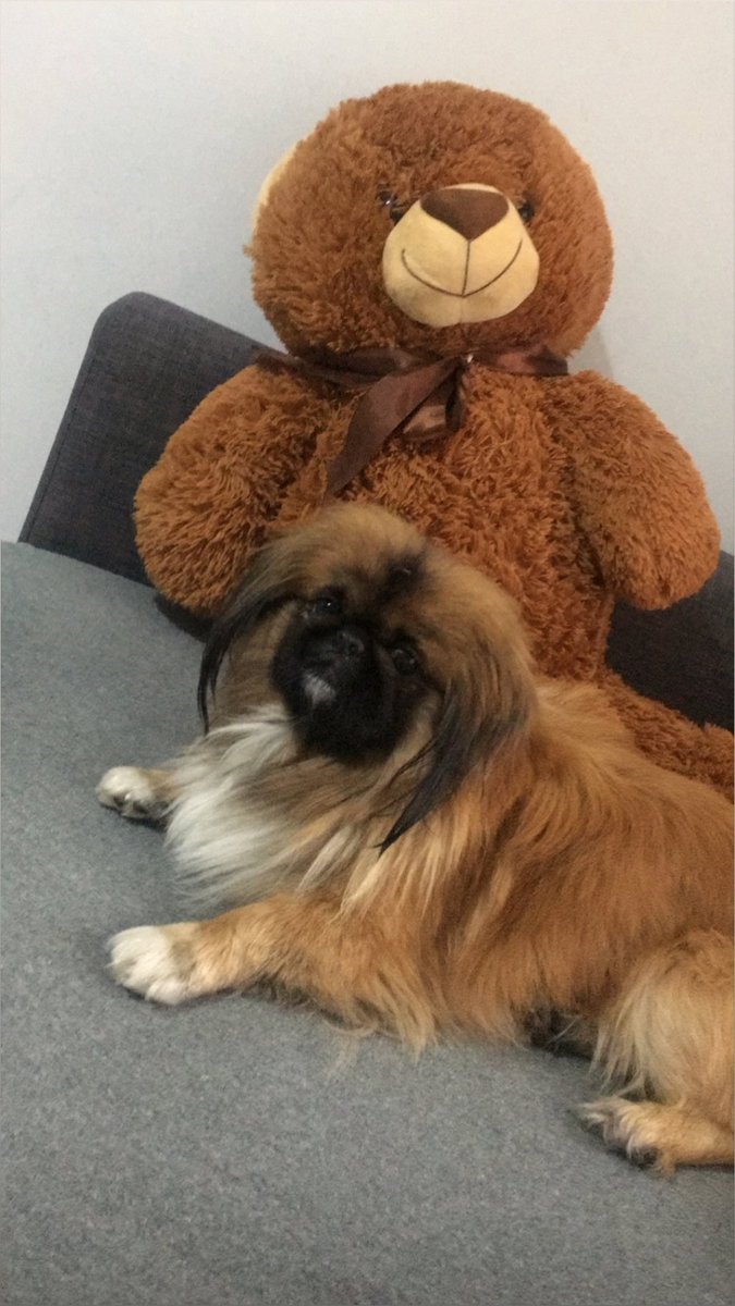 Bakışına ölürümm