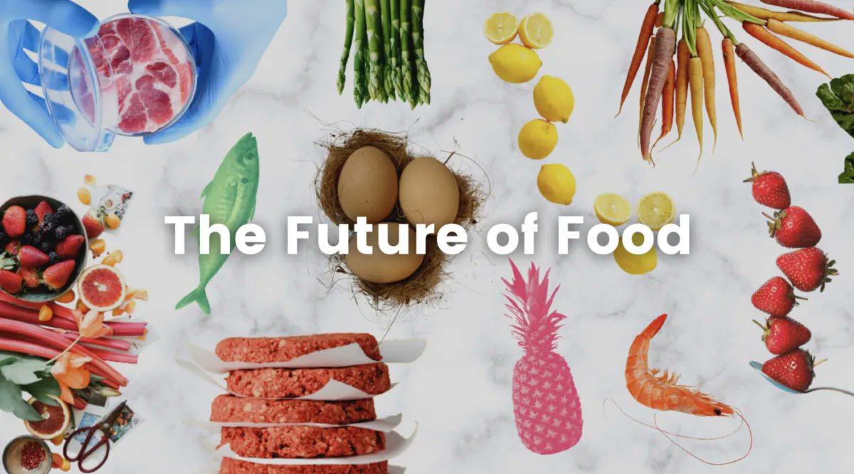 "We’ve all heard about the ecological crisis. Some of us, even since kindergarten. Still, how many of us have genuinely reflected on the possibility of Earth becoming an inhabitable place before the year 2050?" buff.ly/3b5oINv