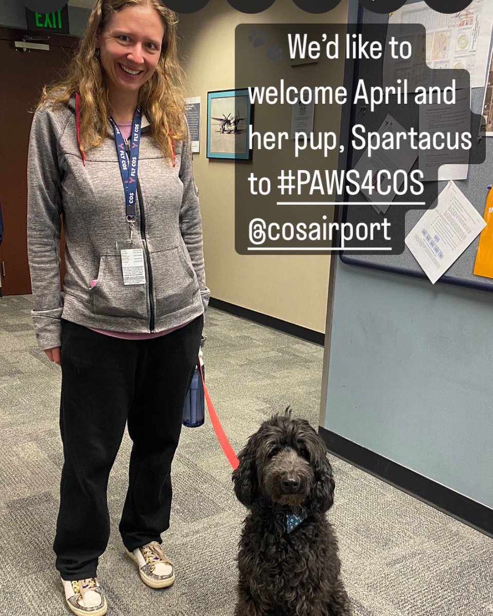 APTherapyDogs's tweet image. New pup alert 🚨 at @cosairport 

We’d like to welcome April and her pup, Spartacus to our #PAWS4COS therapy dog program. 

👋 If you see them around the terminal stop and say hello!

#airporttherapydogs 

Photo @COSAirport