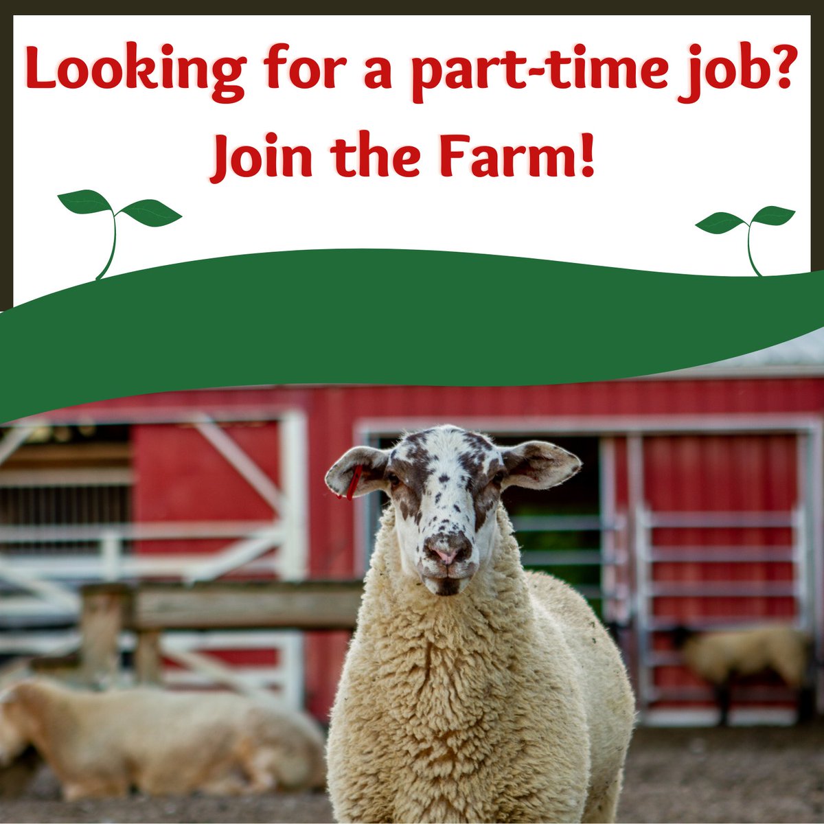 Our Farm Operations team is looking for a part-time operations support member to help with upkeep of the grounds and general maintenance along with work on special projects and events.  Read more about this opportunity at schoolfarm.org under the Employment link.