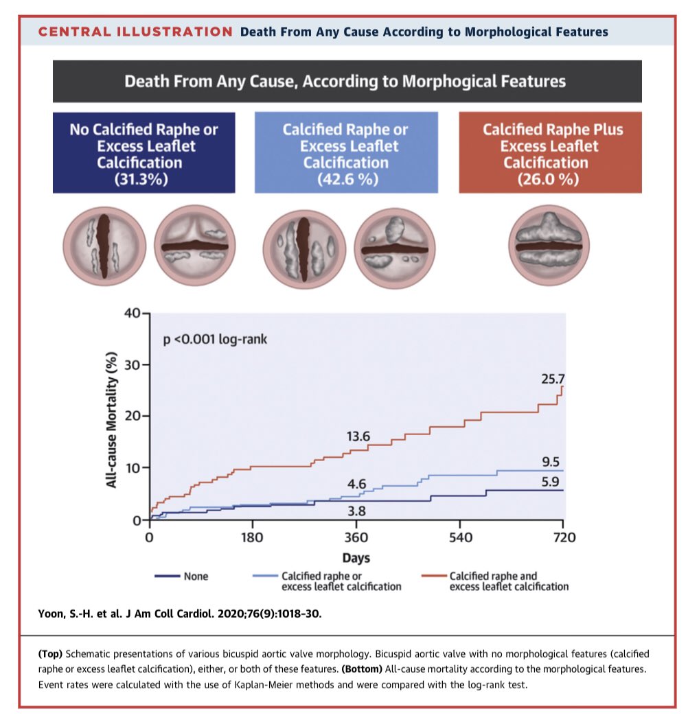 Michel Pompeu Sá tweet media