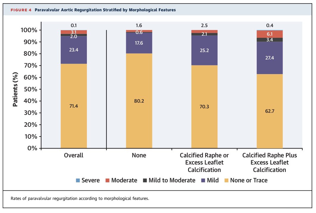 Michel Pompeu Sá tweet media