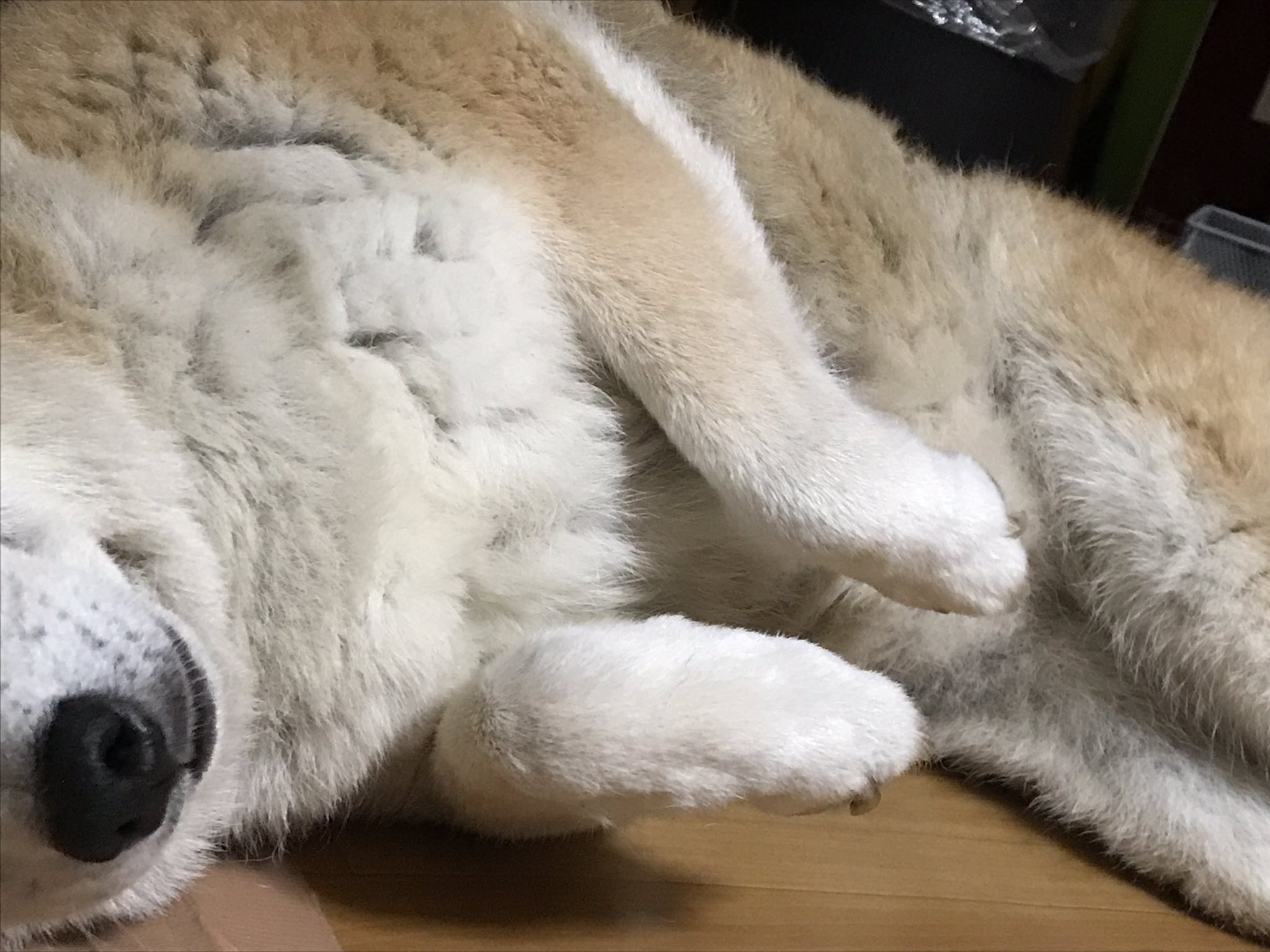 犬の手 Twitter Search Twitter