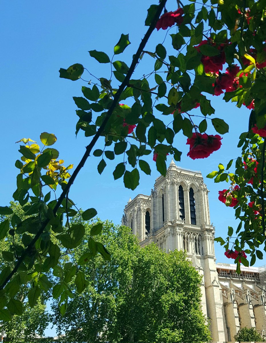 HeleneWithOneL's tweet image. Oh, Paris 💕