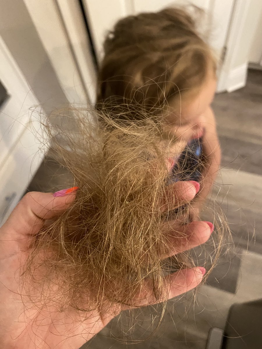 Julie Gargotta tweet media