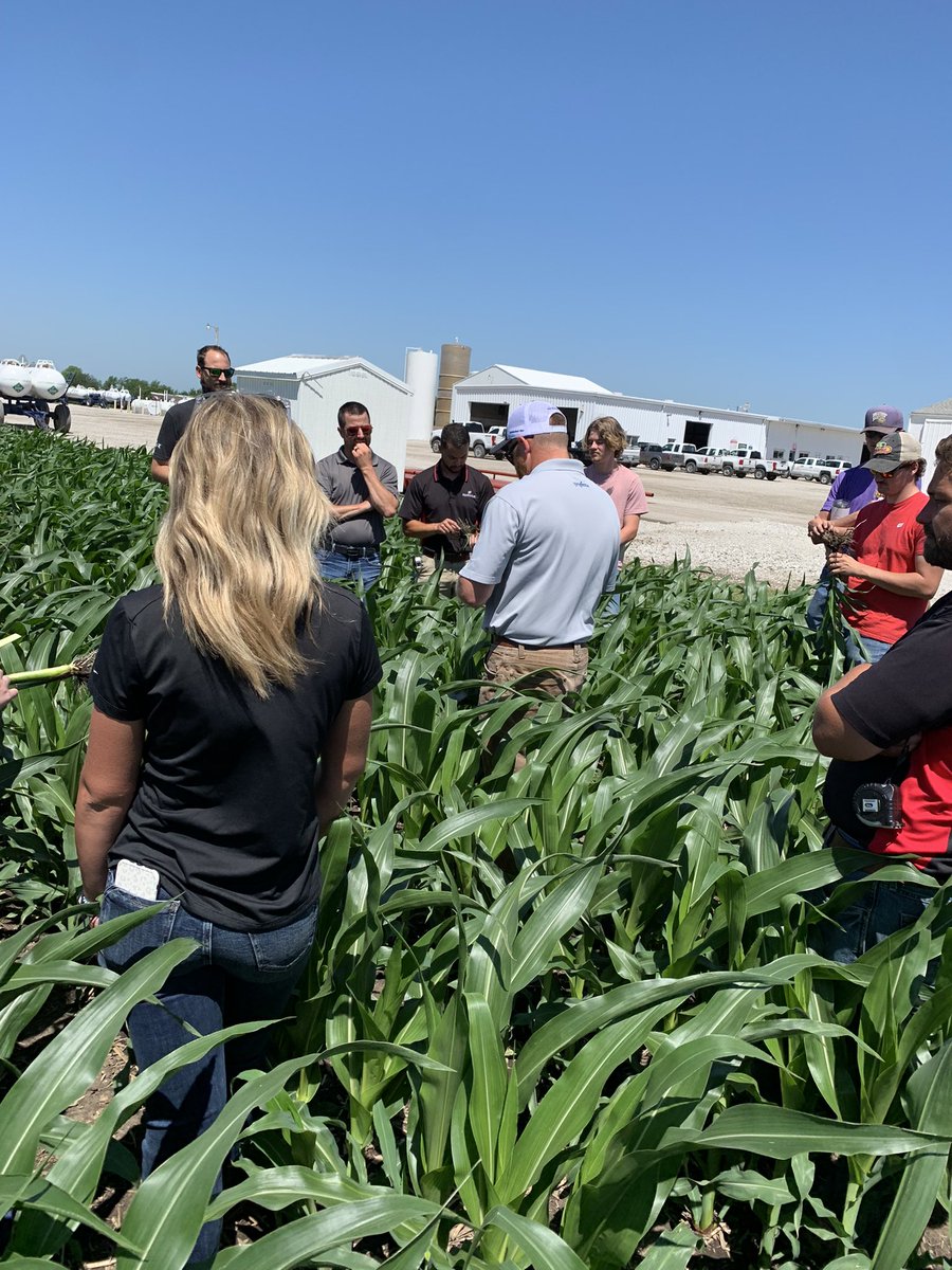 Today kicked off the 2022-23 <a href="/GoldStarFS1/">Gold Star FS</a> Young Guns Seed Sellers program. Great day talking through grower calls, how to learn products, etc. Excited to see how this group turns their knowledge &amp; skills into ‘23 seed sales! 🌽 #growNK22 
<a href="/InVISION_HiSOY/">FSInVISION_FSHiSOY</a> <a href="/NKSeeds/">NK Seeds</a> <a href="/NKNorthernIL_WI/">NK Great Lakes District</a>