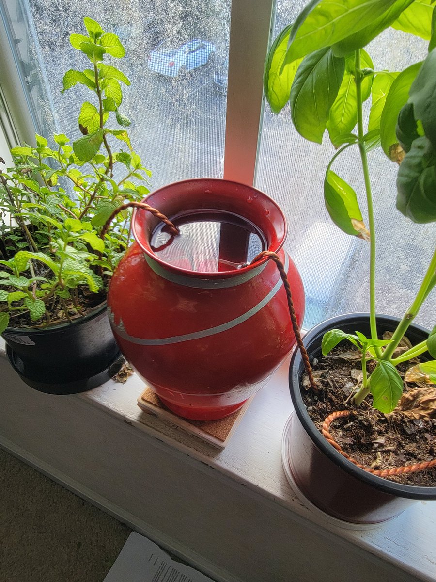 AMRAPcopywrite's tweet image. Neat way to water your plants while your on vacation #travel #plantslovers