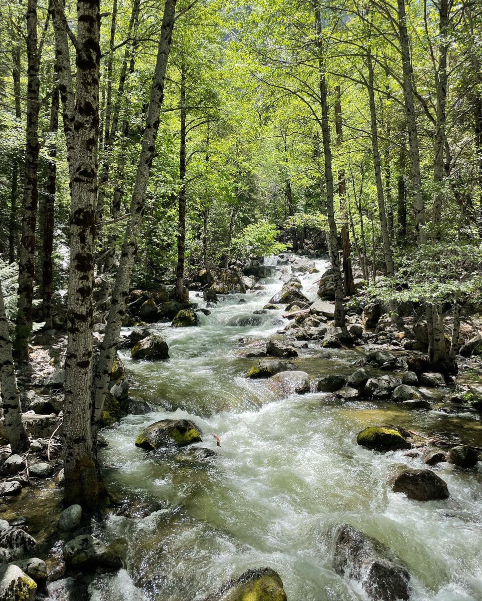 rootsconnectllc's tweet photo. Flashback Thursday to an amazing adventure at Yosemite National Park this May. Waterfall heaven (these negative ions really did a good job)

Quiet your #mind, connect to #nature, establish #roots. 🌵 #naturetherapy 🍁 #foresttherapy 🌳 #forestbathing 🌴 #naturebathing 🌻 https://t.co/cxI5jctSKy