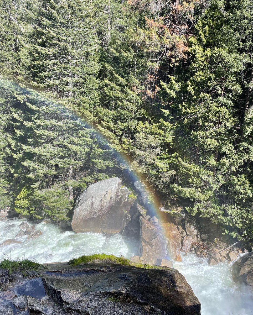 rootsconnectllc's tweet photo. Flashback Thursday to an amazing adventure at Yosemite National Park this May. Waterfall heaven (these negative ions really did a good job)

Quiet your #mind, connect to #nature, establish #roots. 🌵 #naturetherapy 🍁 #foresttherapy 🌳 #forestbathing 🌴 #naturebathing 🌻 https://t.co/cxI5jctSKy