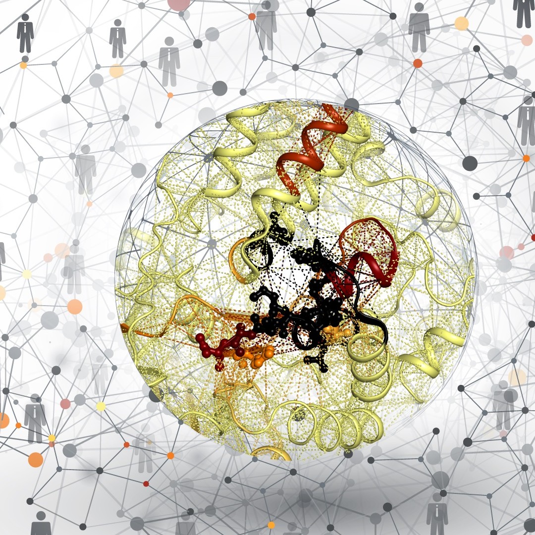scrippsresearch's tweet photo. Scripps Research scientists developed a drug discovery approach —in part inspired by oil companies—to reveal why drugs for rare diseases like #CysticFibrosis fall short. 

https://t.co/ze5STUl78x #raredisease #drugdiscovery https://t.co/PAgjfvh0LC