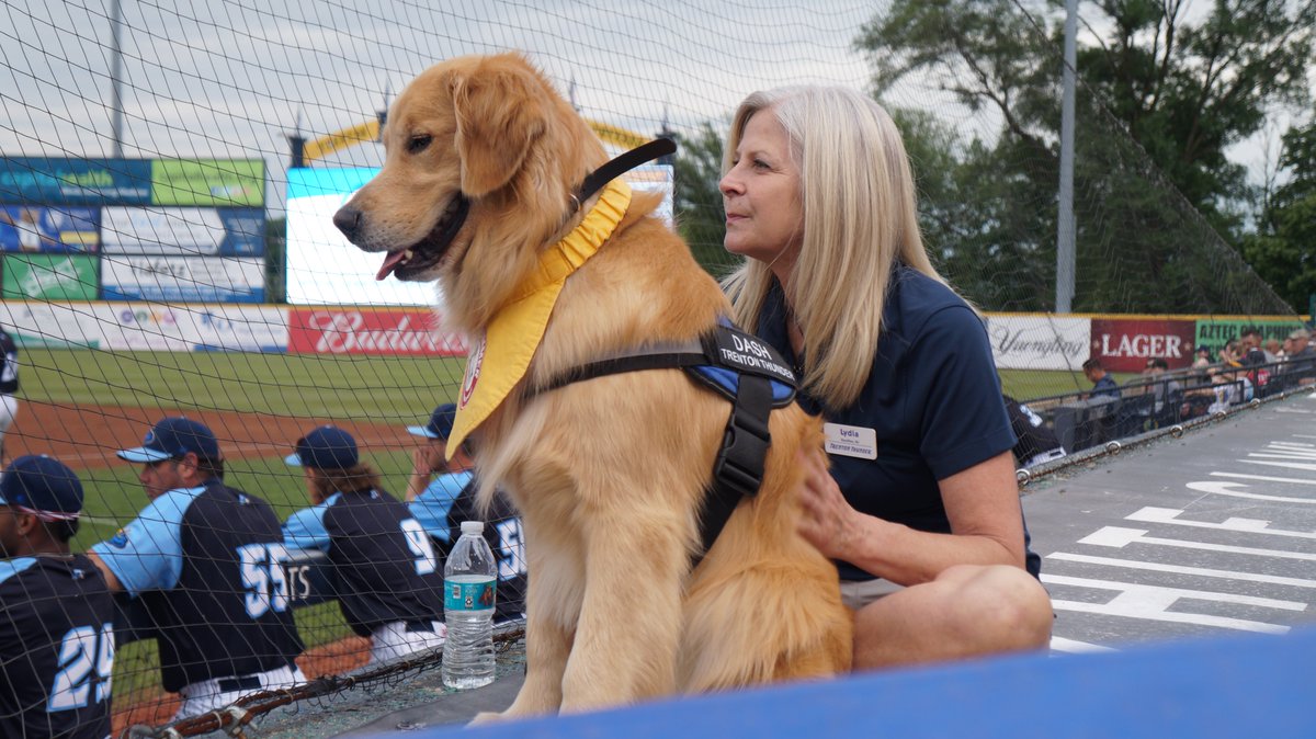 AngelPhotog's tweet photo. In 2016 (my first year with the @TrentonThunder) a young @BatdogRookie was watching &amp; learning from his dad Derby on how to fetch bats. Six years later in 2022 the next batdog in training Dash is learning from Rookie to get bats. So glad I took these generation baton passing pics https://t.co/vfsS7xof1Y