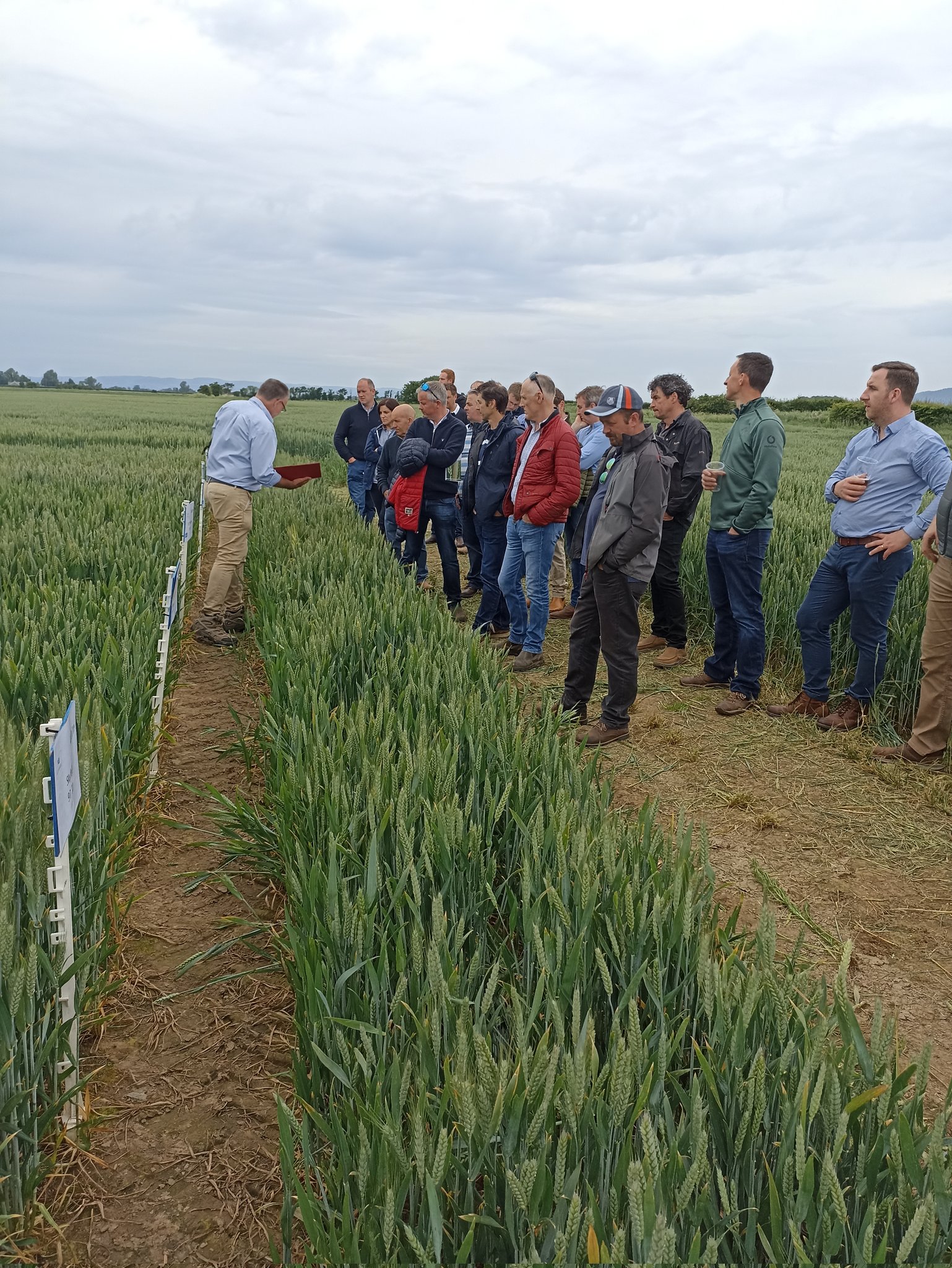 Stephen Robb (StephenRobbDL) / Twitter