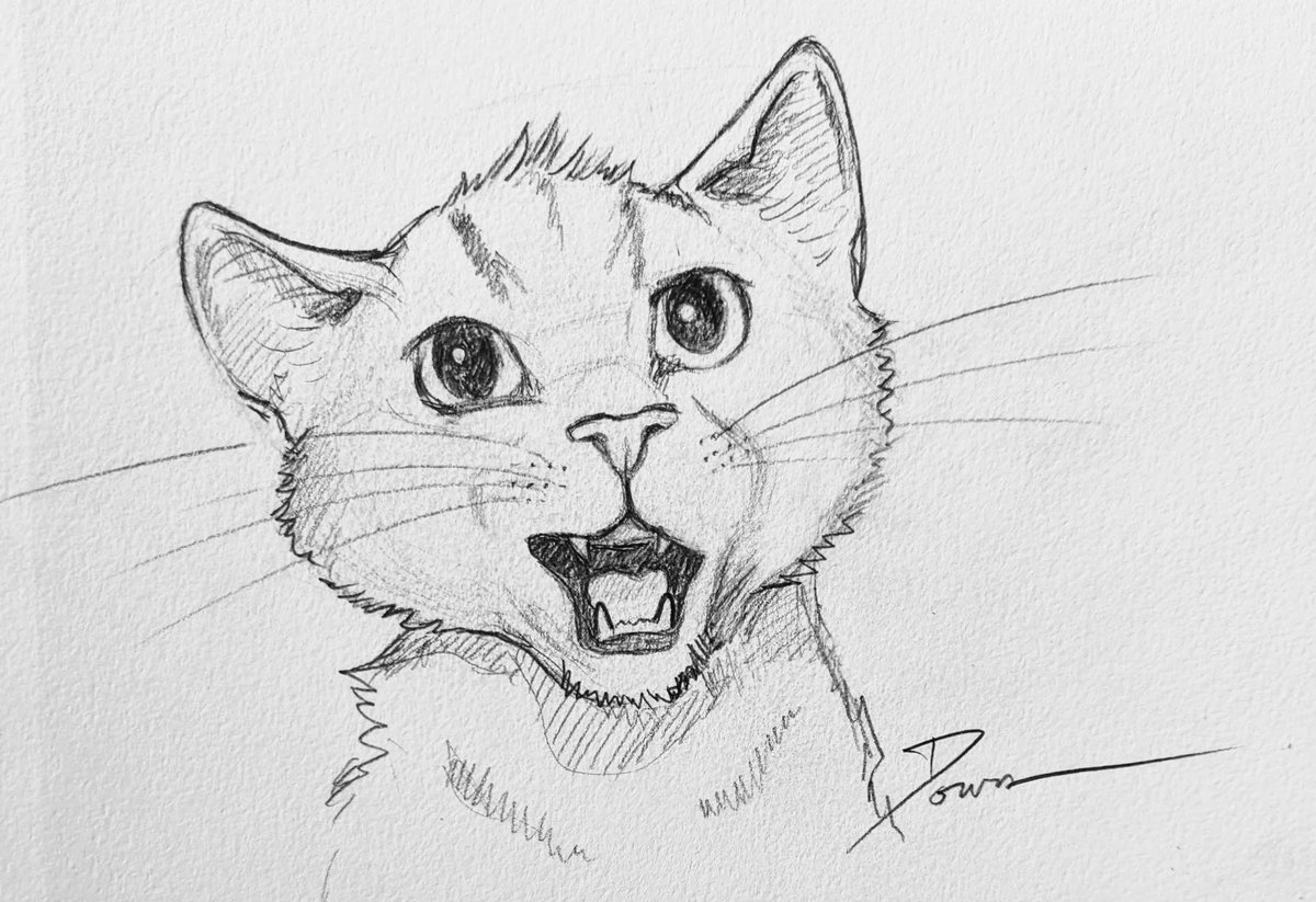 Ridiculous cat sketch. 

#catsketch #ArtistOnTwitter #catcartoon #sillycat #sketchbook #catlove #catart