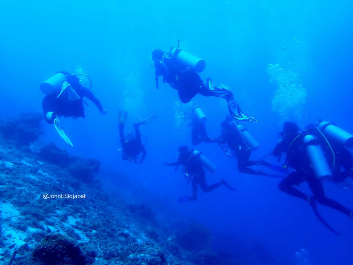 globaldive_id's tweet photo. Now Open new class Openwater Diver, Advanced Diver up to Instructor level every week, just contact 081223603008…
…
Online theory
Watching Video Skills 
Pool practices 
Openwater Exam…
😊😍👌👌👏
You get the certificate directly in a second on your Mobil phone… https://t.co/ssqa9fZbd7