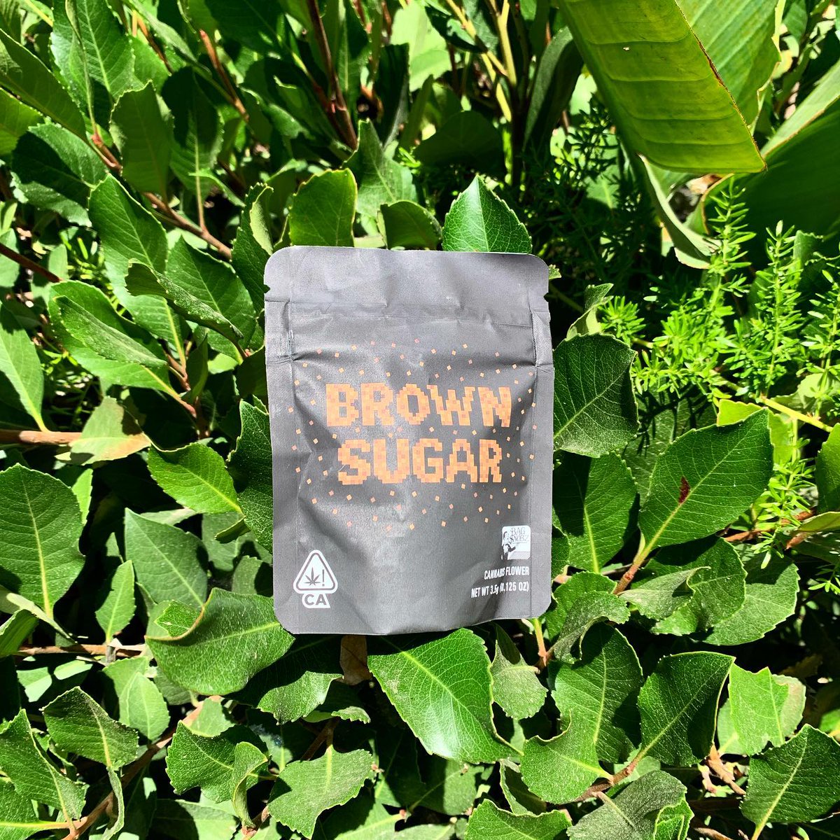 BagSnobz's tweet photo. BROWN SUGAR🧋✨ by  #BagSnobz https://t.co/n0aeKPeoZM