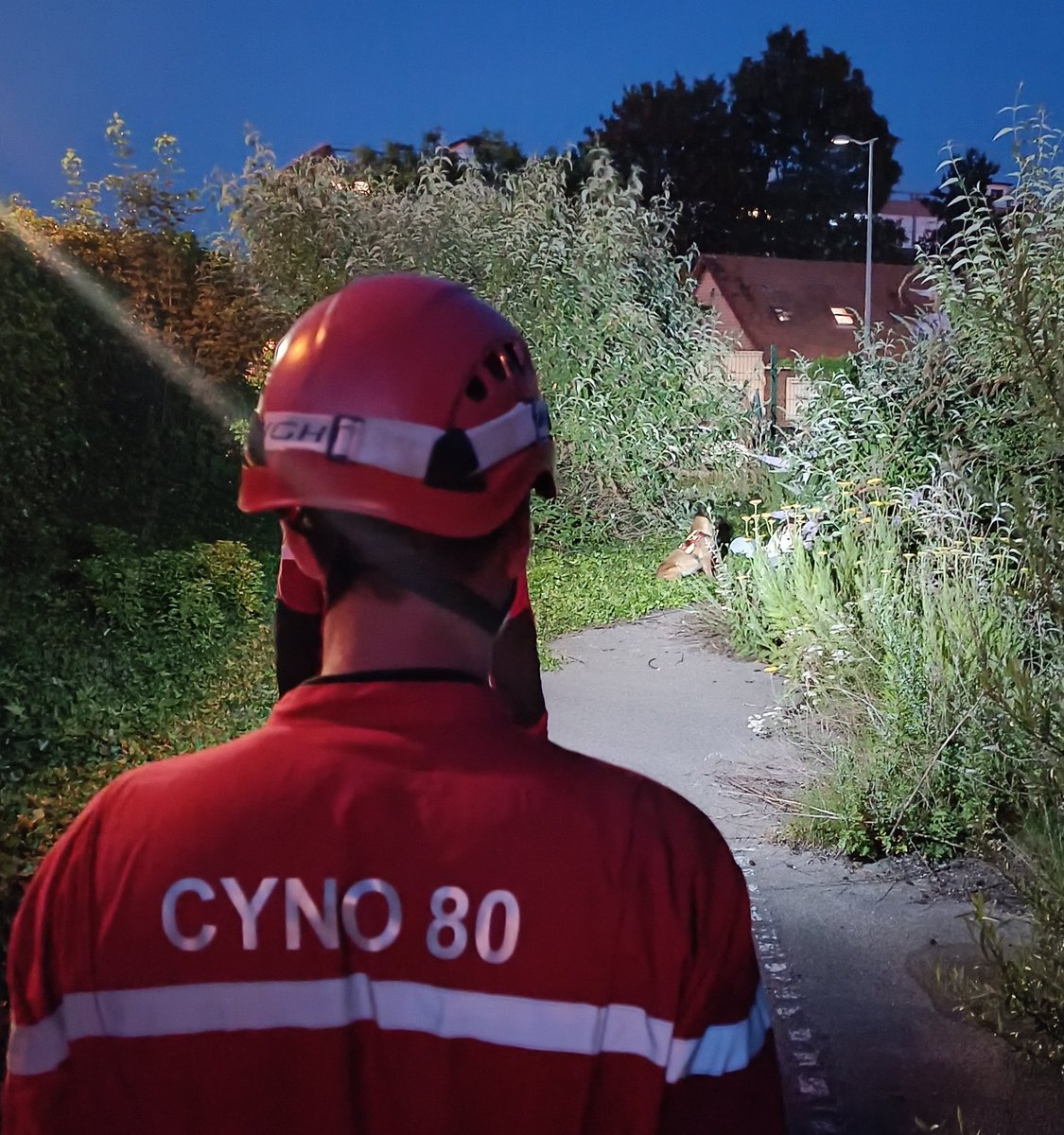 bruno_tabary's tweet photo. 🟡[FMPA USAR] dernières manœuvres, les équipes #cynothechniques du @sdis80 étaient de retour ce soir, éléments indispensables dans les missions de ratissage, elles font gagner un temps précieux dans la #Recherche de personnes 👨‍🚒 #USAR80 ⛑️ #SSO 🐕‍🦺#CYNO #pompiers https://t.co/UPEUpmqIV1