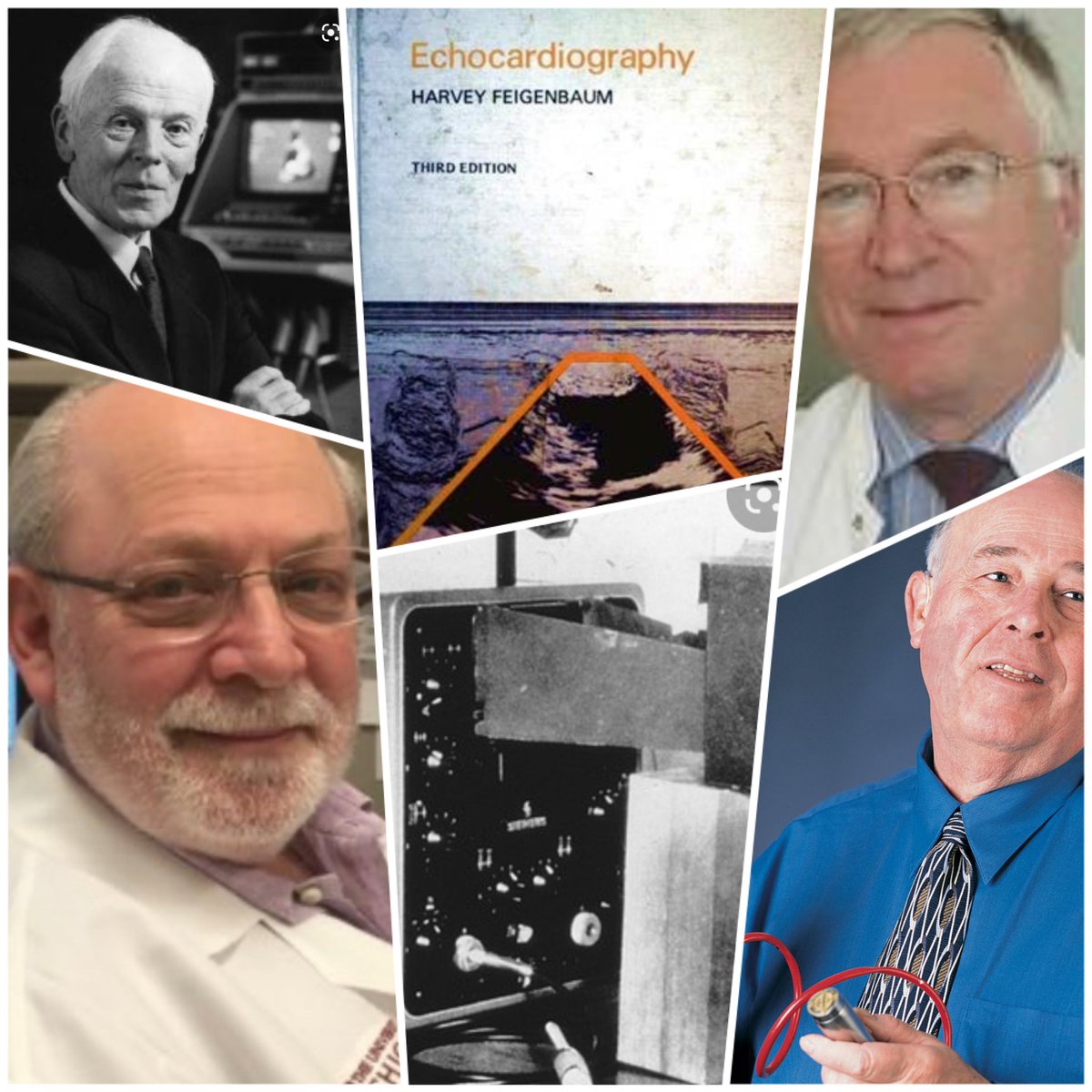 ¡Seis momentos estelares de la ecocardiografia!
1953 EDLER (Suecia).Primer eco
1977 H FEIGEMBAUM:{Indiana)Primer libro
1976 D BAKER(Seatle):Doppler pulsado
1978 J ROELANDT(Holanda) Primer eco 2D 
1978 K HISANAGA(Japon):Eco Esofagico 2D
2008 R LANG (Chicago ):Eco Transesofagico 3D