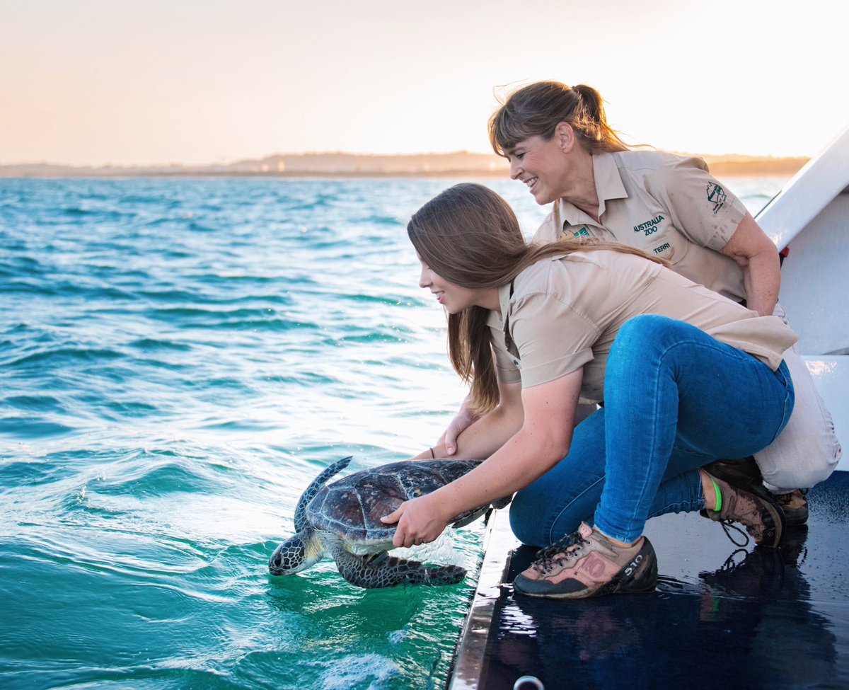 BindiIrwin's tweet photo. #WorldSeaTurtleDay is a celebration for the angels of the sea &amp; reminder to show kindness towards all ocean life.💙Our team at the #AustraliaZooWildlifeHospital works tirelessly to give these sweethearts a second chance at life in the wild. To learn more: https://t.co/Vg7Kr28jRK https://t.co/tO9JX116vF
