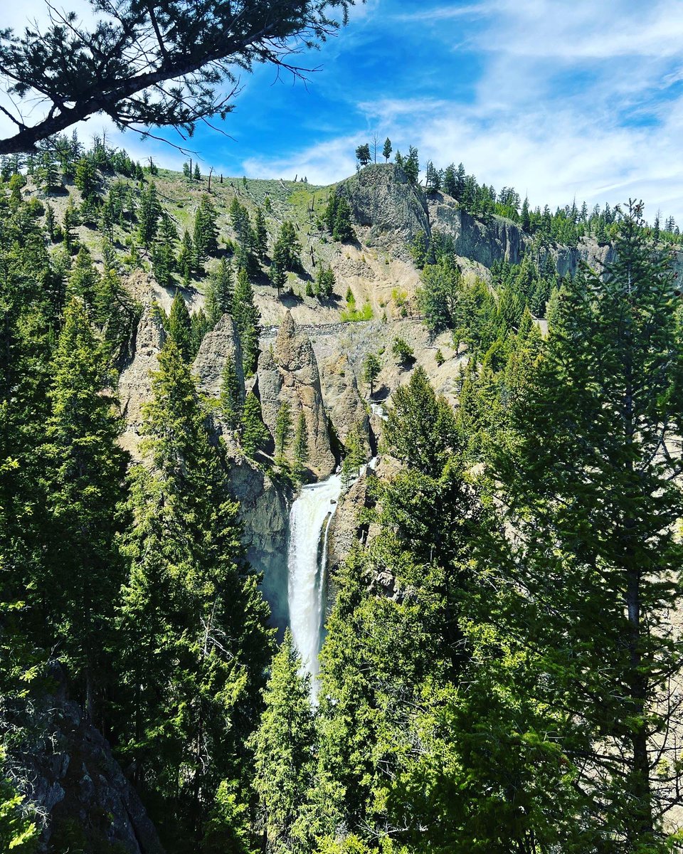 Kyle McDonald tweet media