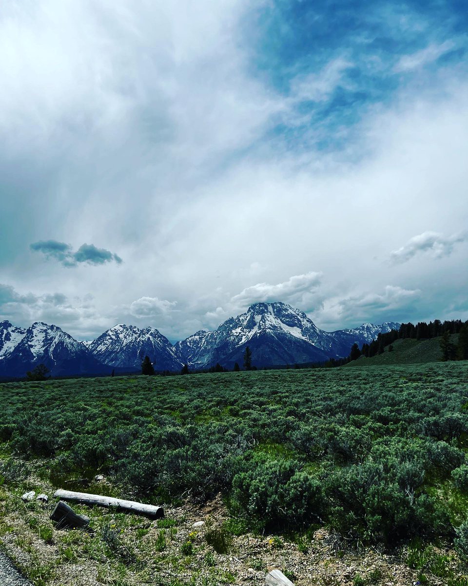 Kyle McDonald tweet media