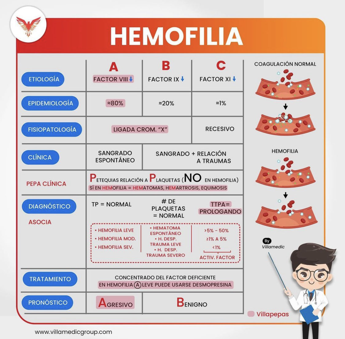 leslie_anco's tweet photo. Hemofilia 
.
.

#ENARM #ENARM2022 #Mir2023 #2MIR23 #2MIR24 #Enam #residentadomedico2022 #facmed https://t.co/BmFQFAhKps