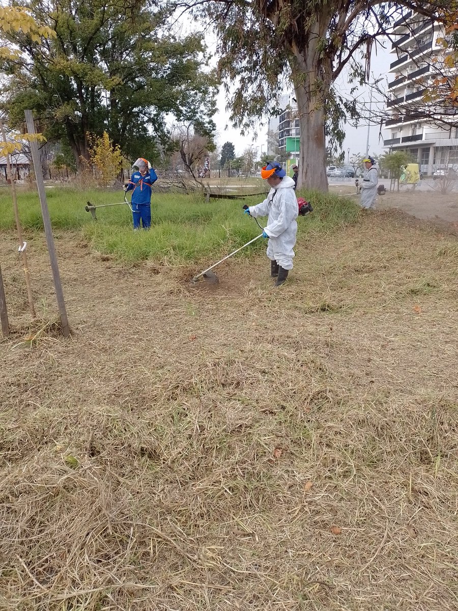 HectorN03153374's tweet photo. #EQUIPODGGIS 
Hoy con la cuadrilla de #Saneamiento en #Barrio20 y #Barrioolimpico se realizó corte de pasto, fumigación móvil, fumigación manual ,e Hidrolavado desinfeccion

@mrgospedini 
@Salas_Gabriel 
@MariaMigliore 
@gabimraida https://t.co/qO1NKc93ZN