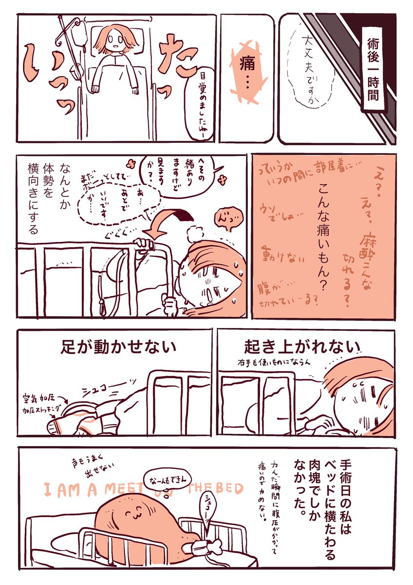 帝王切開レポ② 1/3
術後〜退院編 