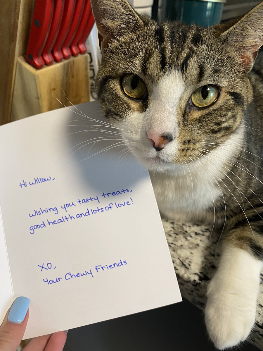 TCzworkowski's tweet photo. @Chewy Always reminding me why you’re such a great company, it’s the personal touches! https://t.co/IyD48JVWYZ