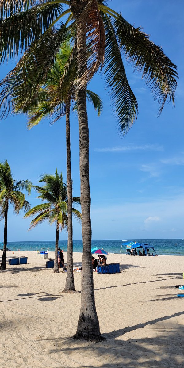 Lonna L. Jackson tweet media