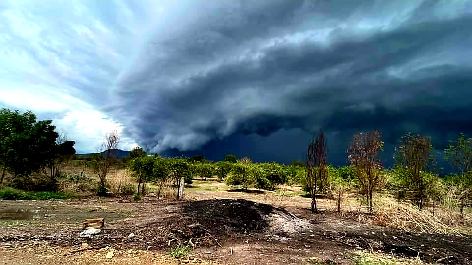 metmex's tweet photo. ¡Espectacular! #Shelfcloud esta tarde en #Tepalcatepec #Michoacán. Crédito al autor 📸 | Grupo Observadores #MetMEX en Telegram. https://t.co/kJPlmkJ4Ig