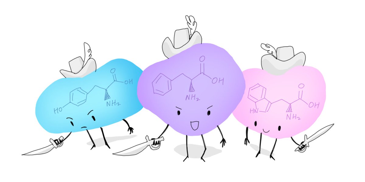 Transcripts tweet media