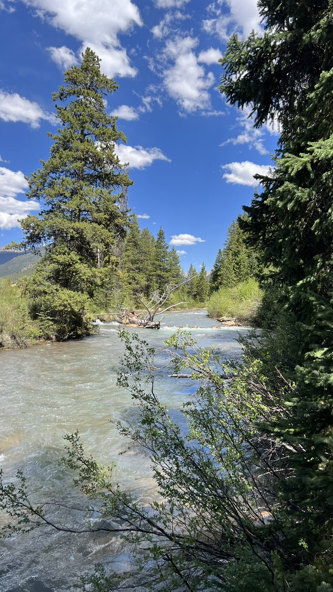 m_konigshoff's tweet photo. Same at the river ☺️ beautiful break & some hypoxia experiments using live imaging #KSTissueRepair https://t.co/Rg7m5R9fsm