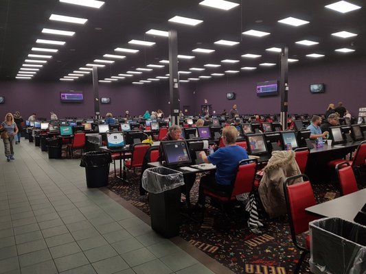 RotaryPickering's tweet image. Pickering Rotary Club is proud to participate in Charitable Gaming through Delta Bingo. The ongoing financial support allows us to offer much needed programs and services. 
When we come together we make things possible for our community.