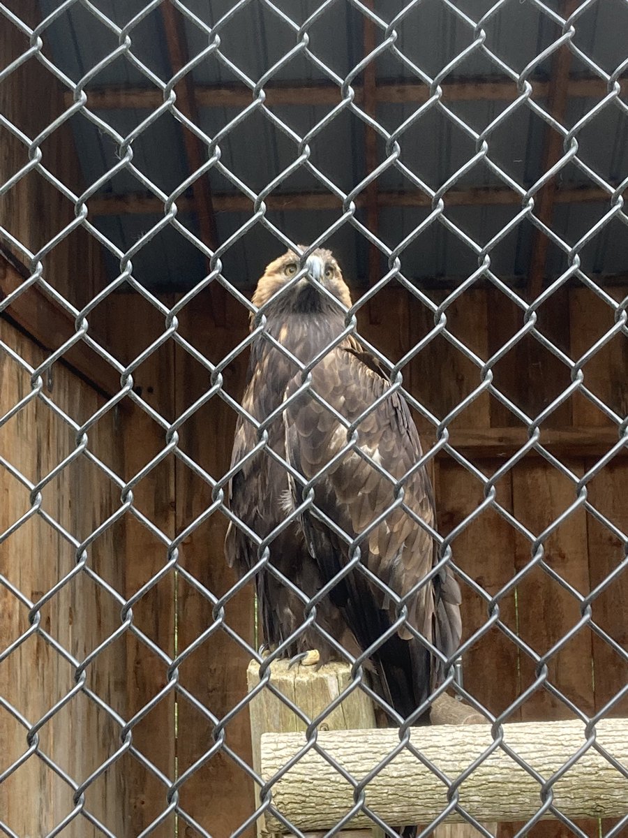 Shannon Lee(Parkins) tweet media